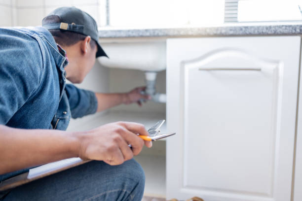Best Commercial Plumbing Services  in Mahtomedi, MN