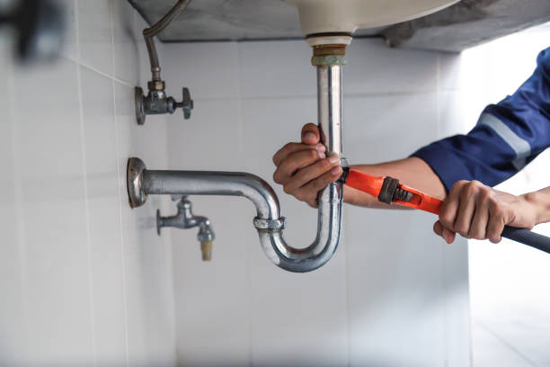 Best Commercial Plumbing Services  in Mahtomedi, MN